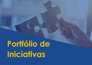 Baixar o Portfólio de Iniciativas